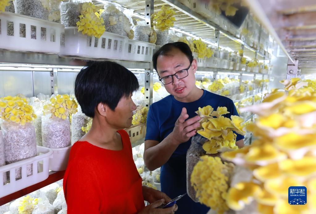 最新菠菜发布网